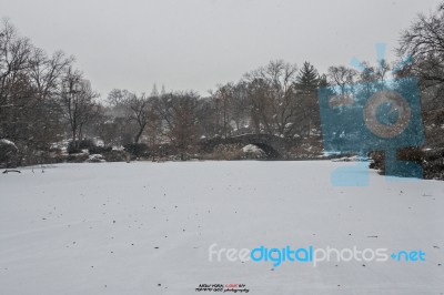 Central Park X Snow, Manhattan, Nyc, Ny Stock Photo