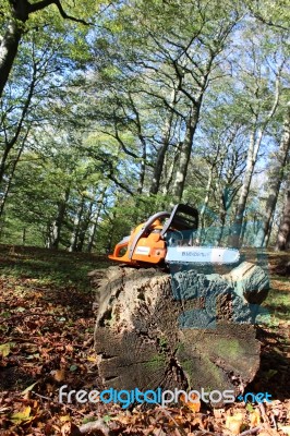 Chainsaw In Autumn Wood Stock Photo