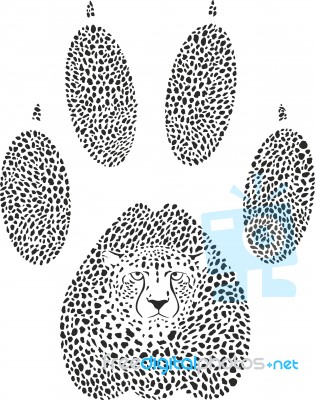 Cheetah Footprint Stock Image