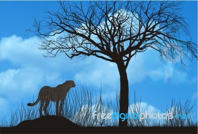 Cheetah Under Tree Stock Image