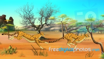 Cheetahs On The Hunt Stock Image