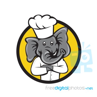 Chef Elephant Arms Crossed Circle Cartoon Stock Image