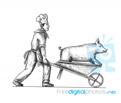 Chef With Wheelbarrow And Pig Tattoo Stock Image