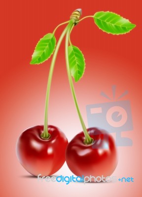 Cherry Stock Image