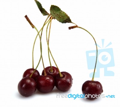 Cherry Stock Photo