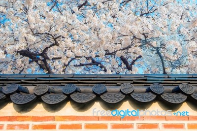 Cherry Blossom With Roof Of Temple In Spring Stock Photo