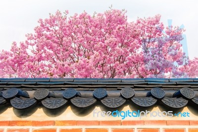 Cherry Blossom With Roof Of Temple In Spring Stock Photo