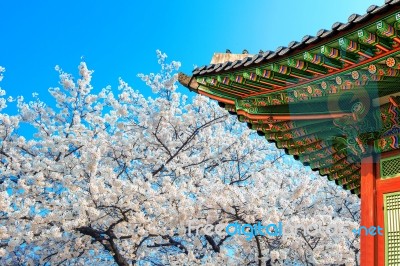 Cherry Blossom With Roof Of Temple In Spring Stock Photo