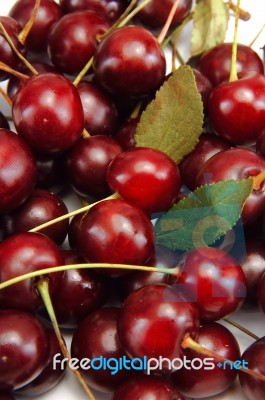 Cherry Group Stock Photo