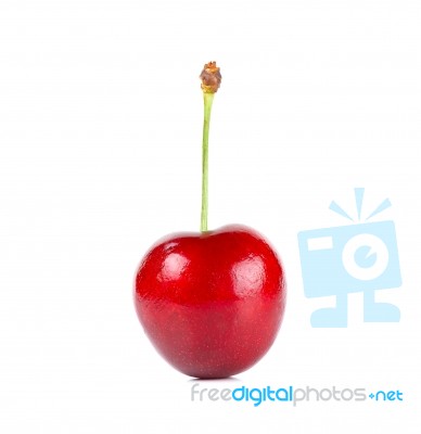 Cherry Isolated On White Background Stock Photo