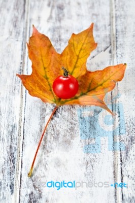 Cherry Tomato Stock Photo