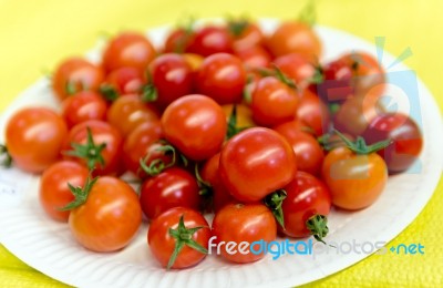 Cherry Tomatoes Stock Photo