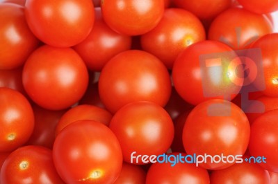 Cherry Tomatoes Stock Photo