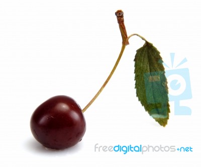 Cherry With Leaf Stock Photo