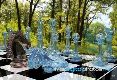 Chess Board Game Competition In Forest Garden Stock Image