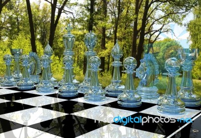 Chess Board Game In Forest Garden Stock Image