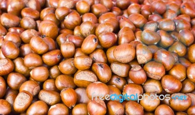 Chestnut Stock Photo