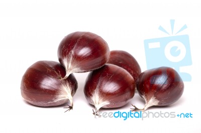 Chestnuts Isolated On A White Background Stock Photo