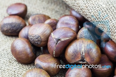 Chestnuts On Sack Stock Photo