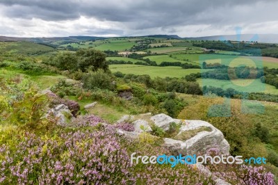 Cheviot Hills Stock Photo