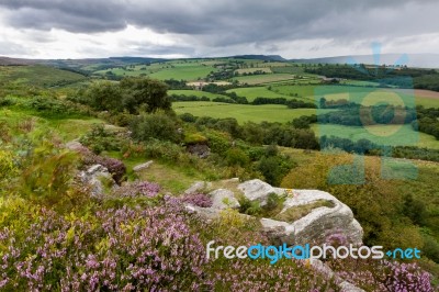 Cheviot Hills Stock Photo