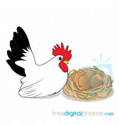 Chicken And Eggs Stock Image