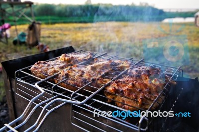 Chicken Breast Grilled On A Coals Stock Photo