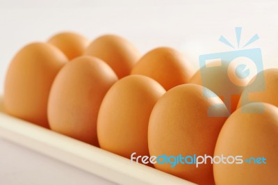 Chicken Eggs Stock Photo