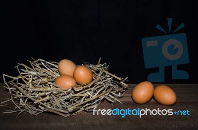 Chicken Eggs Stock Photo