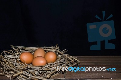 Chicken Eggs Stock Photo