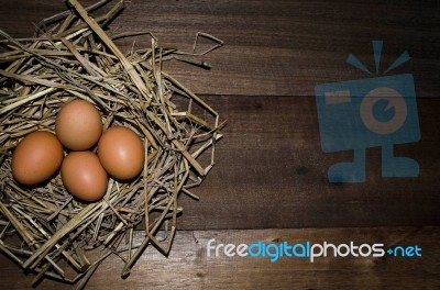 Chicken Eggs Stock Photo