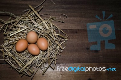 Chicken Eggs Stock Photo