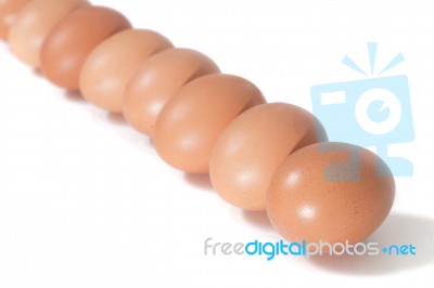 Chicken Eggs Aligned Stock Photo