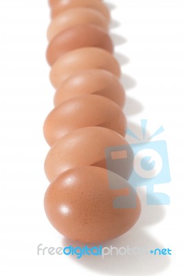 Chicken Eggs Aligned Stock Photo