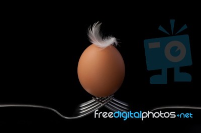 Chicken Eggs On Fork Still Life On Black Background Stock Photo