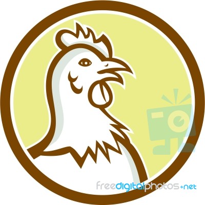 Chicken Hen Head Side Circle Cartoon Stock Image