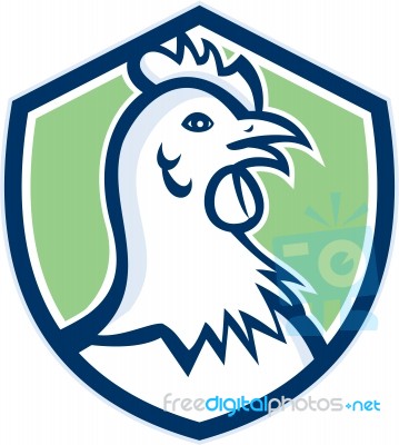 Chicken Hen Head Side Shield Cartoon Stock Image