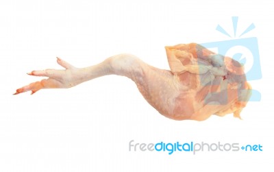 Chicken Leg Stock Photo