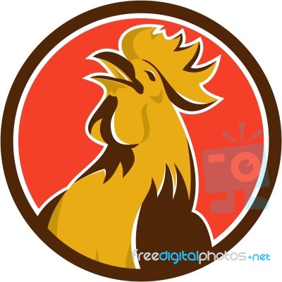 Chicken Rooster Crowing Circle Retro Stock Image