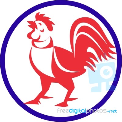 Chicken Rooster Crowing Circle Retro Stock Image