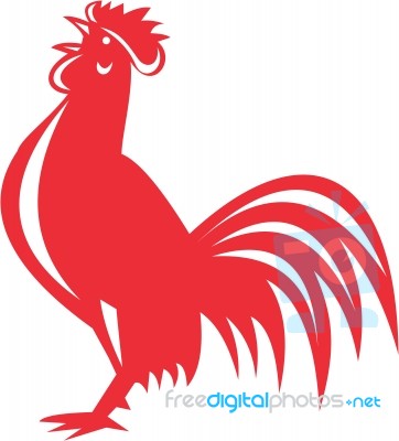 Chicken Rooster Crowing Retro Stock Image