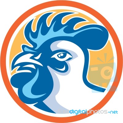 Chicken Rooster Head Side Circle Retro Stock Image