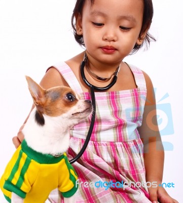 Child Taking Care Of Chihuahua Stock Photo