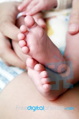 Children Feet  Stock Photo