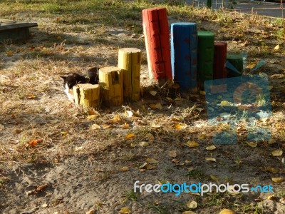 Children Playground, Swing Near The House  Stock Photo