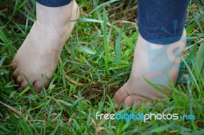 Child's Bare Feet In Grass Stock Photo