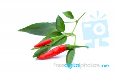 Chili Peppers Isolated On White Background Stock Photo