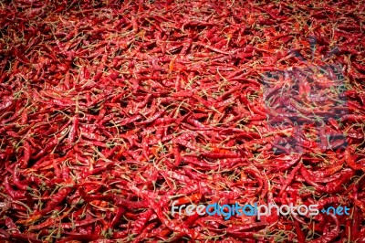 Chilli Stock Photo