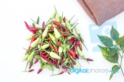 Chilli  Stock Photo