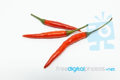 Chilli Stock Photo